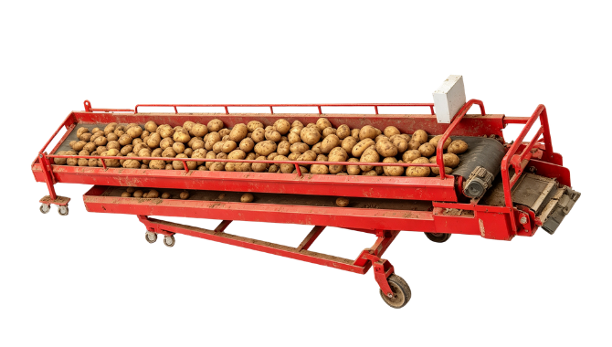 Potato Double‑layer Conveyor